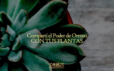 Ormus y Agricultura