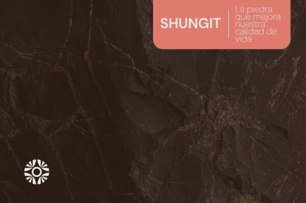 Shungit proteccion energética