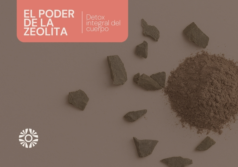 zeolita
