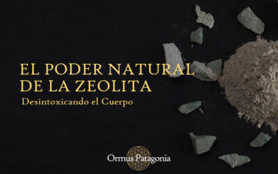 El Poder Natural de la Zeolita: Desintoxicando el Cuerpo