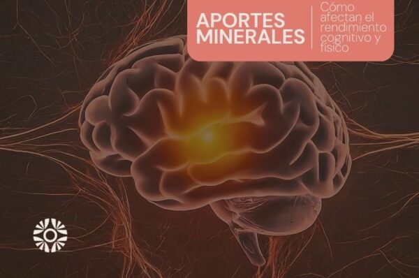 aporte minerales cognicion