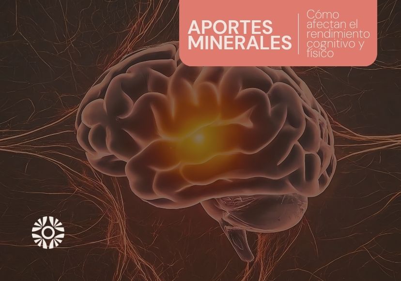 aporte minerales cognicion