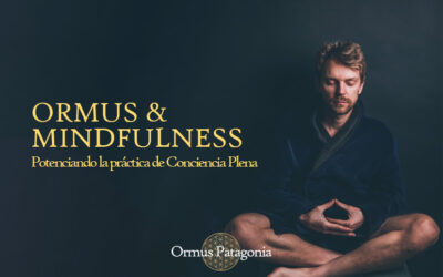 Ormus y Mindfulness: Potenciando la Conciencia Plena con Energía Natural.