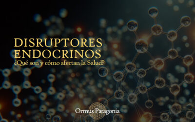 ¿Qué Son los Disruptores Endocrinos y Cómo Afectan La Salud?