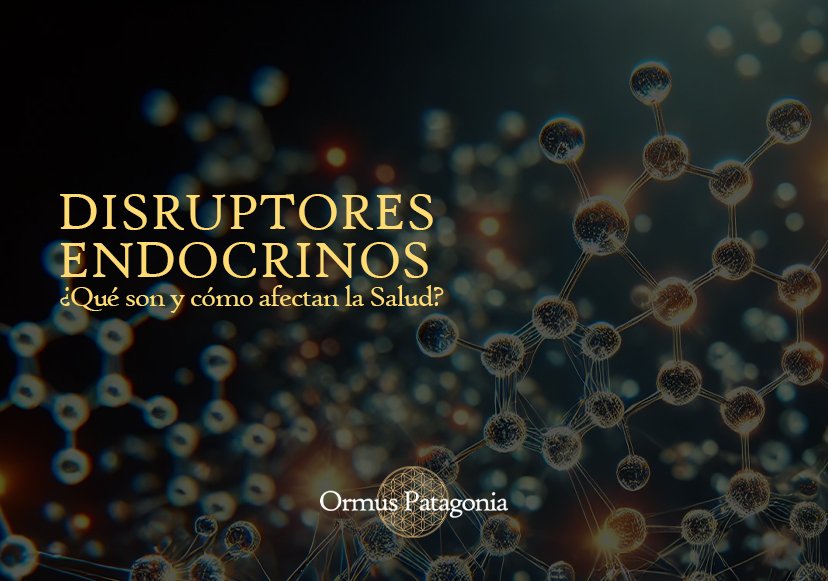 ¿Qué Son los Disruptores Endocrinos y Cómo Afectan La Salud?