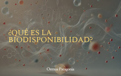 ¿Qué es la Biodisponibilidad y Por Qué es Importante en Suplementos?