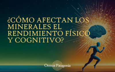 ¿Cómo Afectan los Minerales el Rendimiento Cognitivo y Físico?