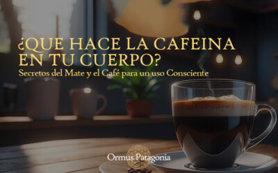 ¿Qué Hace la Cafeína en tu Cuerpo? Secretos del Mate y el Café para un uso Consciente.