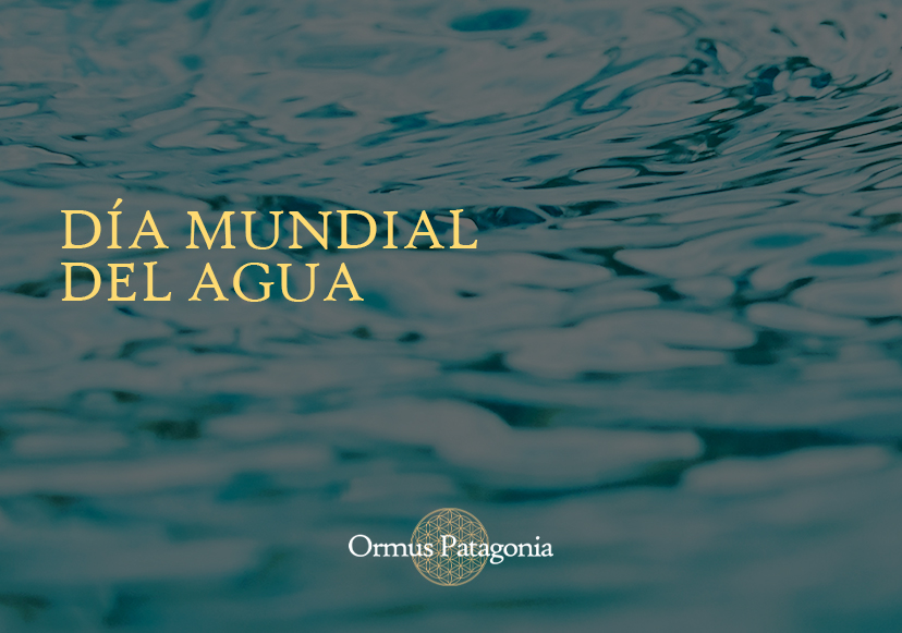 Día Mundial del Agua: Celebrando el Recurso Esencial para la Vida