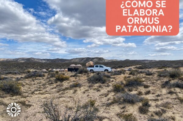 Cómo se elabora Ormus Patagonia: un proceso frecuencial de cuatro meses