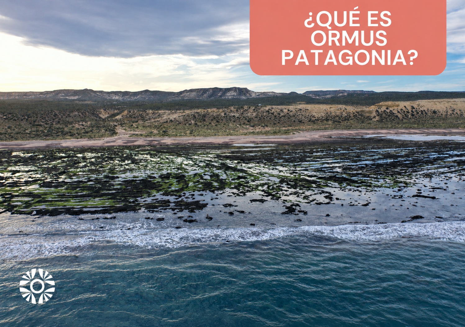 Qué es Ormus Patagonia: minerales marinos, alquimia y origen patagónico